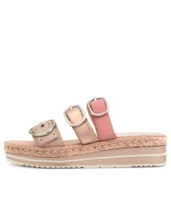 Abbas Rose Multi Slides
