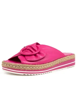 Arturo Lrg Fuchsia