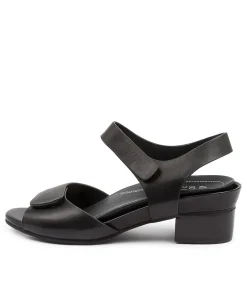 Ava Xw Black Leather