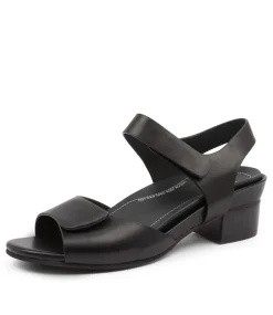 Ava Xw Black Leather