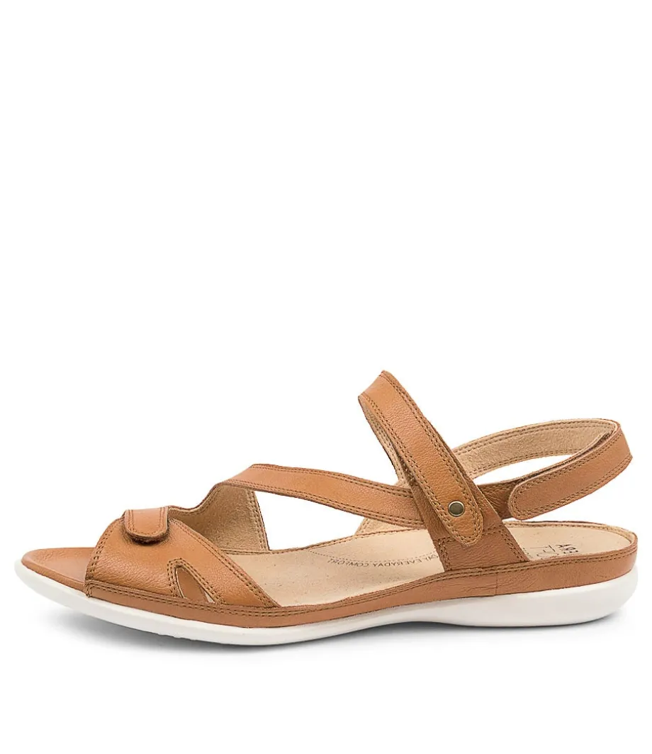 Belta W Dk Tan Leather