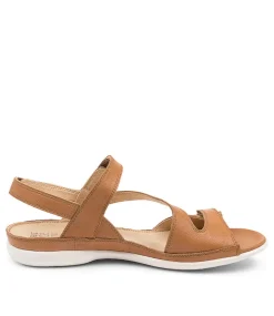 Belta W Dk Tan Leather