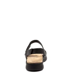 Benji Xw Black-Black Lea