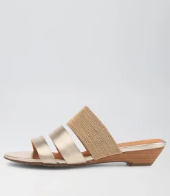 Blessings Platinum Multi Slides