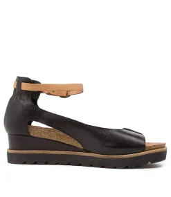 Brayan Black-Dk Tan Lea