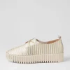 Brenda Milk Gold Stripe Leather Sneakers