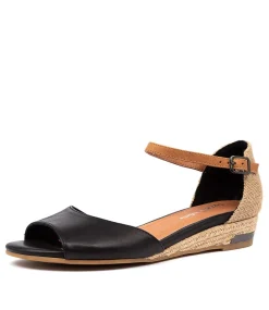 Cheryls Black-Tan Multi