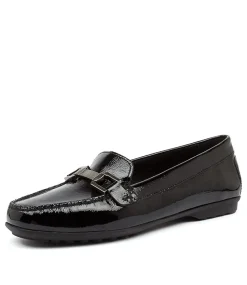 D Elidia C Black