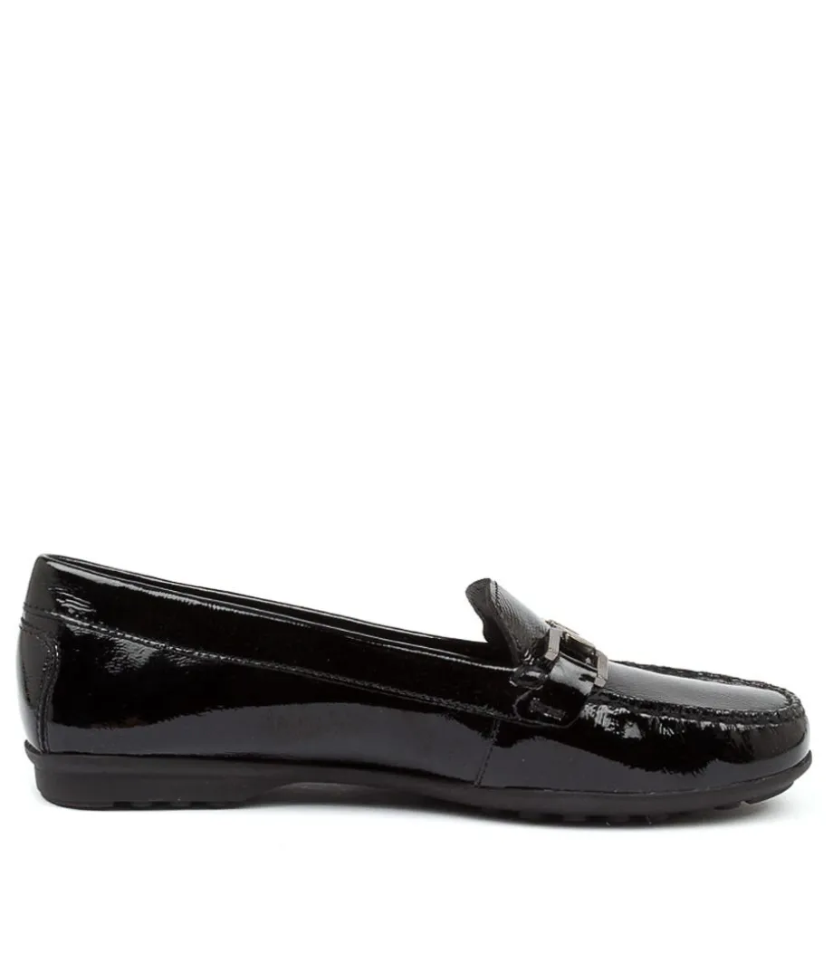 D Elidia C Black