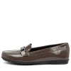 D Elidia C Chestnut
