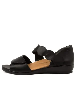 Donato W Black Leather