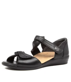 Doxie W Black Leather