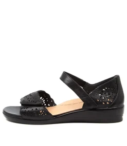 Dusty W Black Leather