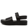 Erric Black-Black Leat