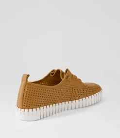 Haide Dark Tan White Leather Sneakers