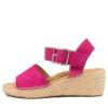 Kraig Xw Fuchsia Suede