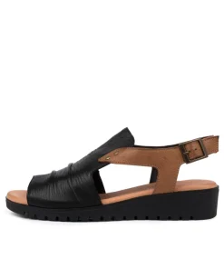 Madis Black-Dk Tan
