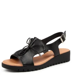 Malika Black Leather