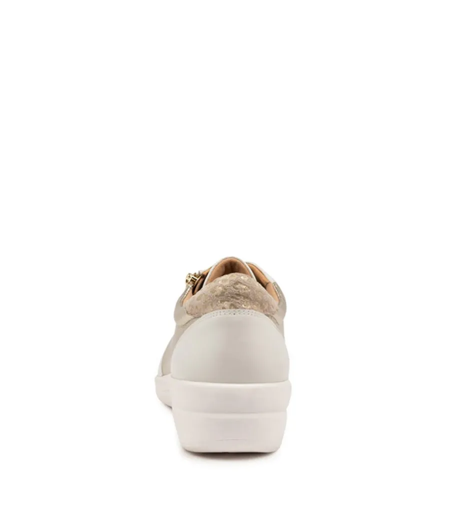 Newton W White Multi