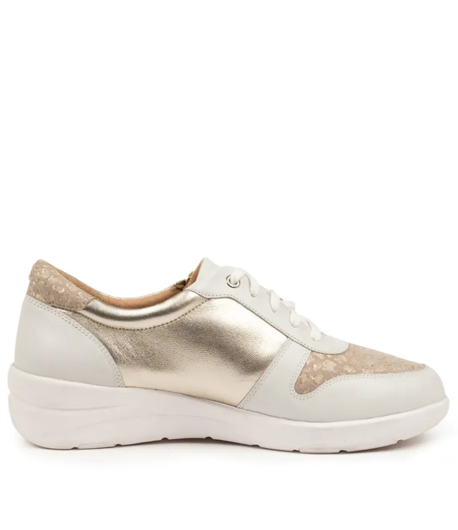 Newton W White Multi