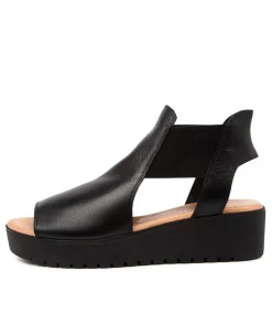 Ozie Black-Tan Leather