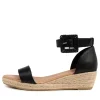Sprout Lrg Black Leather