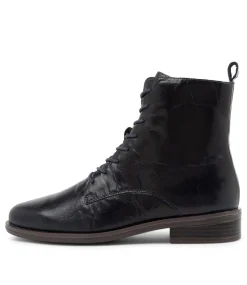 Steveny Xf Navy Leather Ankle Boots