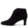 Templess Navy-Navy Suede