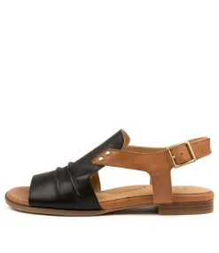 Teslah W Black-Tan Leathe