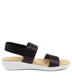 Usaid W Black Elastic