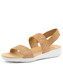 Usaid W Coffee Woven Elas