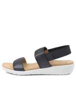 Usaid W Navy Elastic