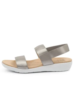 Usaid W Silver Elastic