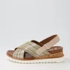 Valencia 06 Sand Multi Leather Sandals