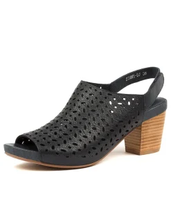 Zimmy Navy Leather